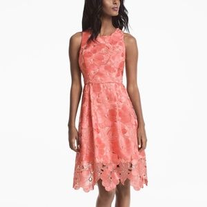 White House Black Market tea length, coral dress. Lace overlay